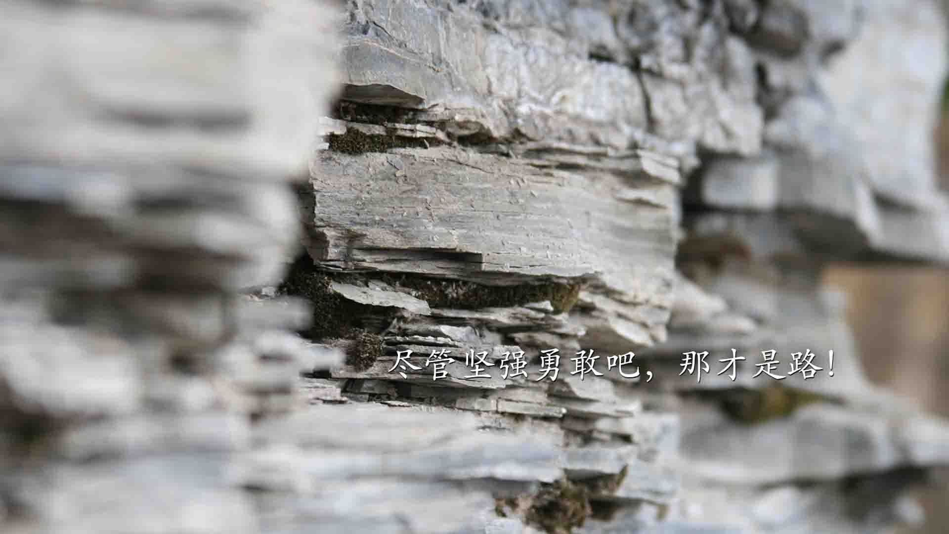 _水上高速滑艇：水上速度的极致追求_，超高水上滑梯