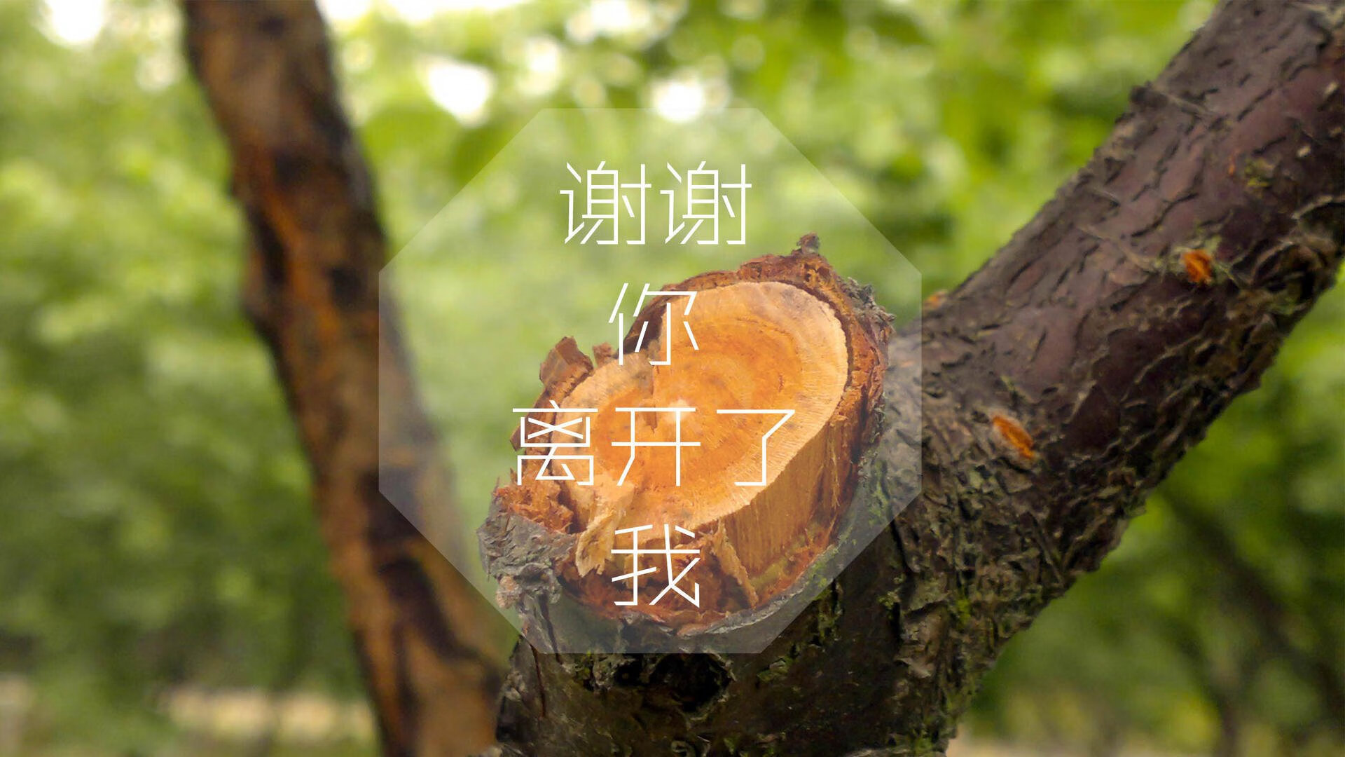 爱游戏娱乐-_马刺坚持磨练，逐步实现突破_，马刺打法