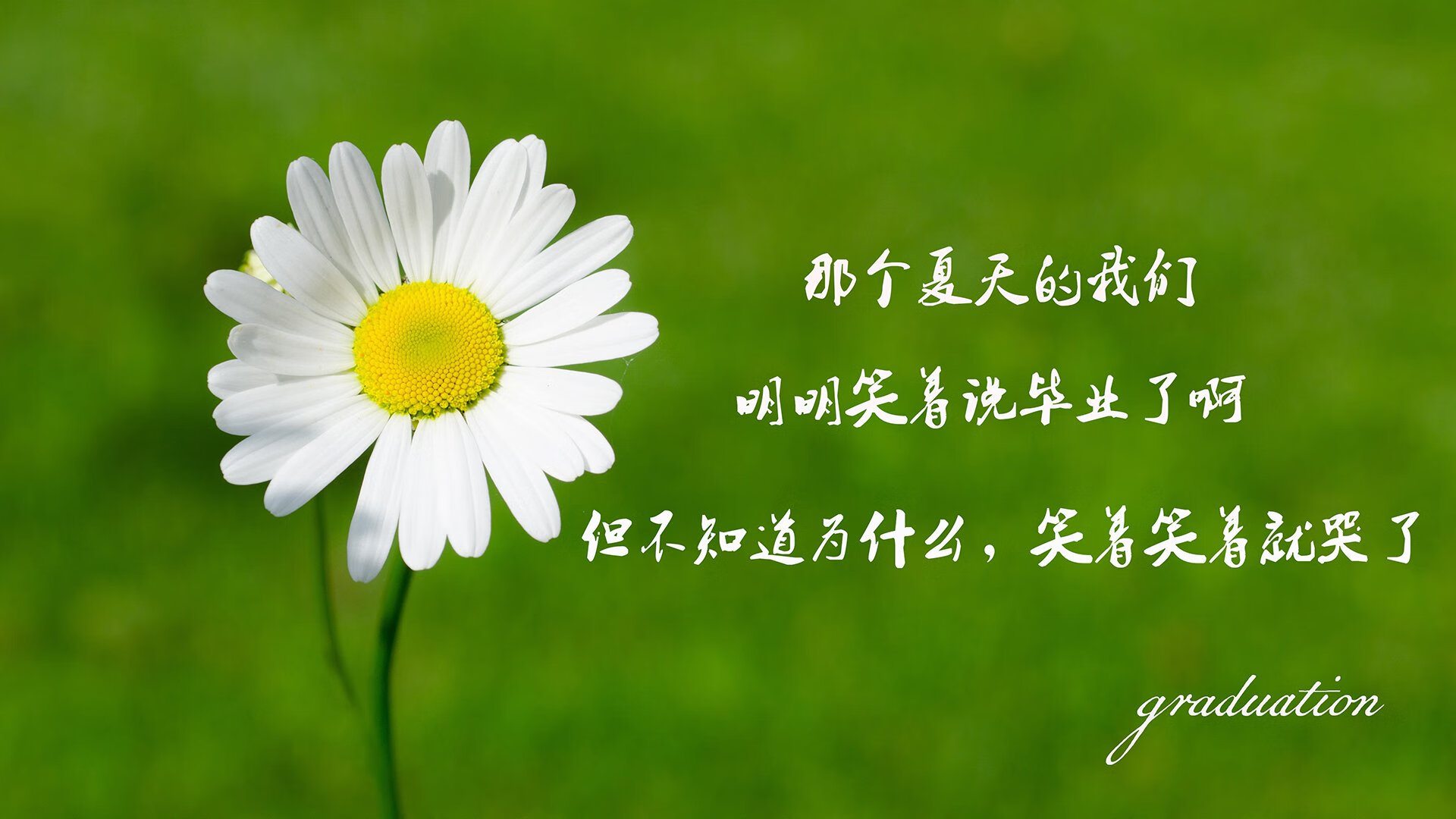 足球裁判执法风格趋于统一专业化，足球裁判员的执法原则