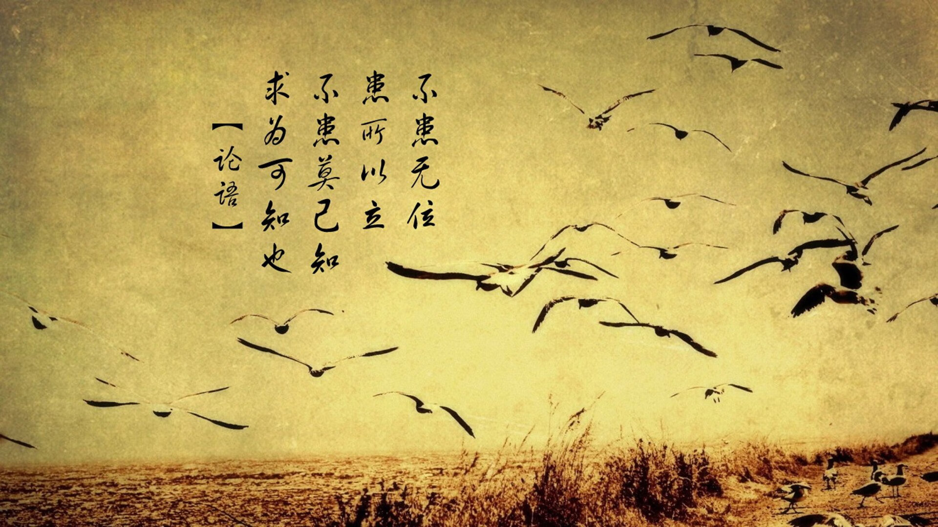 尤文图斯门将罗纳尔多在训练中受伤，或将休战一段时间，罗纳尔多去过尤文图斯吗
