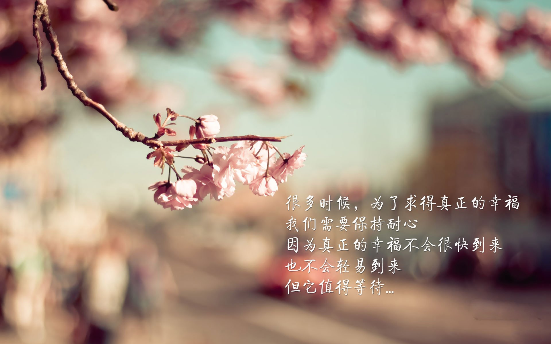 “福乐球激烈角逐，新都香城赛场精彩纷呈”
