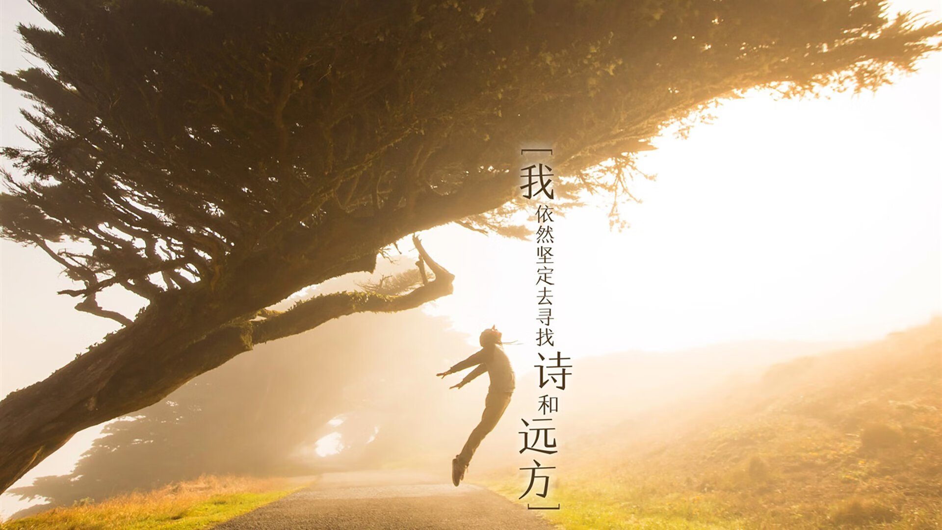 -意甲战机密集：突破防线的经典瞬间，意甲战报意甲积分榜